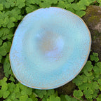 Baby Blue